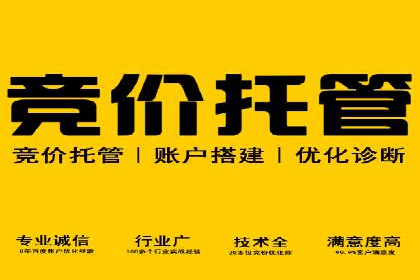 谷歌SEM案例分析：优化广告效果策略